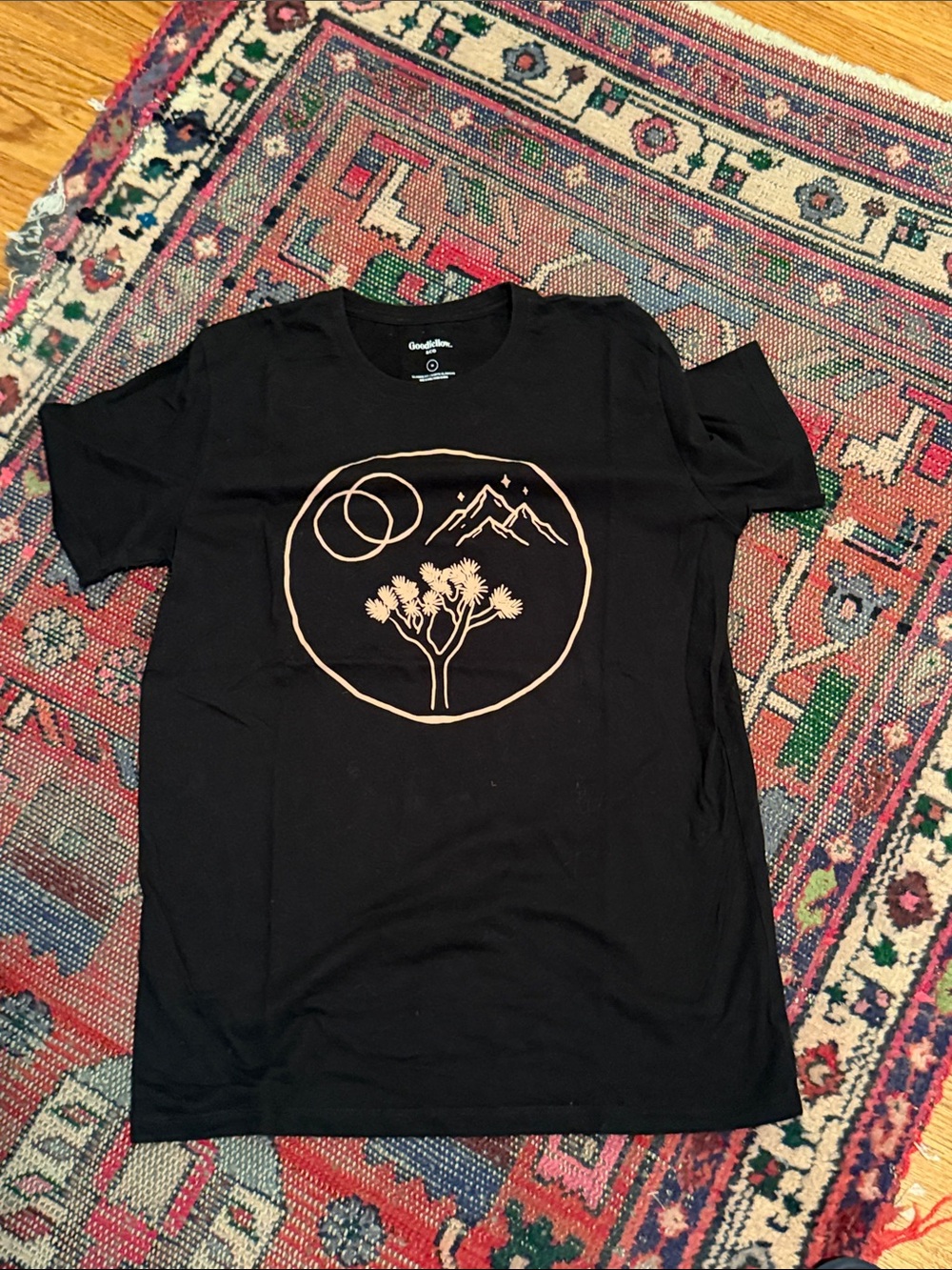 Goodfellow & Co Men's Black Graphic Desert T-Shirt